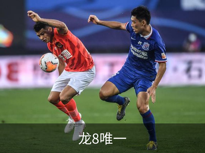 龙8唯一介绍